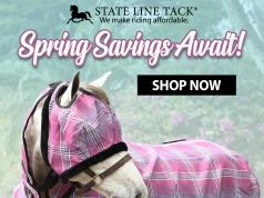 Discover the Ultimate Equestrian Shopping Experience at StateLineTack: Everything Your Horse Needs and More!