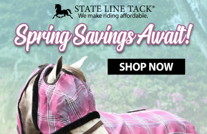 Discover the Ultimate Equestrian Shopping Experience at StateLineTack: Everything Your Horse Needs and More!